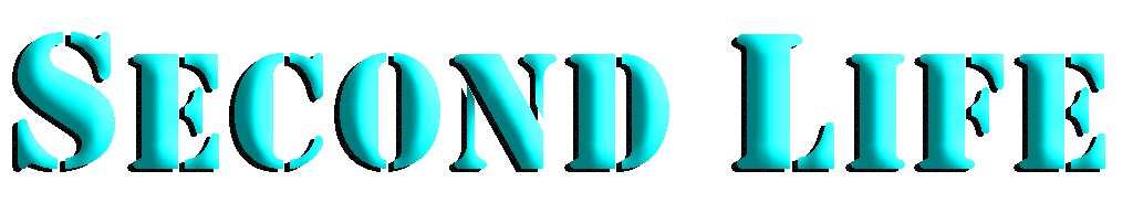 Life in the VR of Second Life